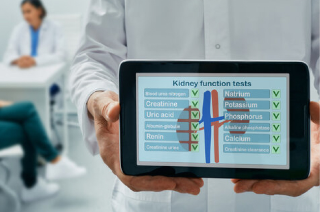 Regional Nephrology Associates Services img1